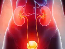 Frequent UTIs? How chronic infections could be linked to your gut health, know details