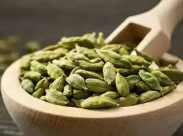 You can get these health benefits by chewing 2 Cardamom a day, know the right time of consumption