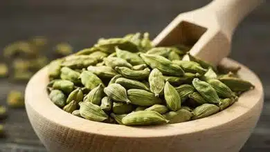 You can get these health benefits by chewing 2 Cardamom a day, know the right time of consumption