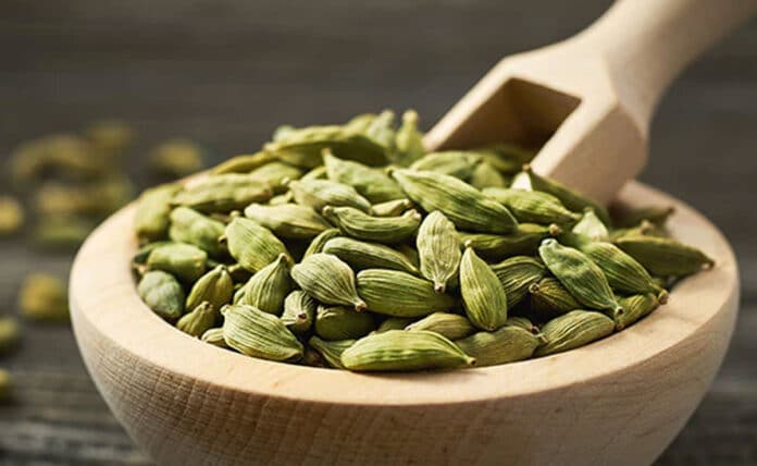 You can get these health benefits by chewing 2 Cardamom a day, know the right time of consumption