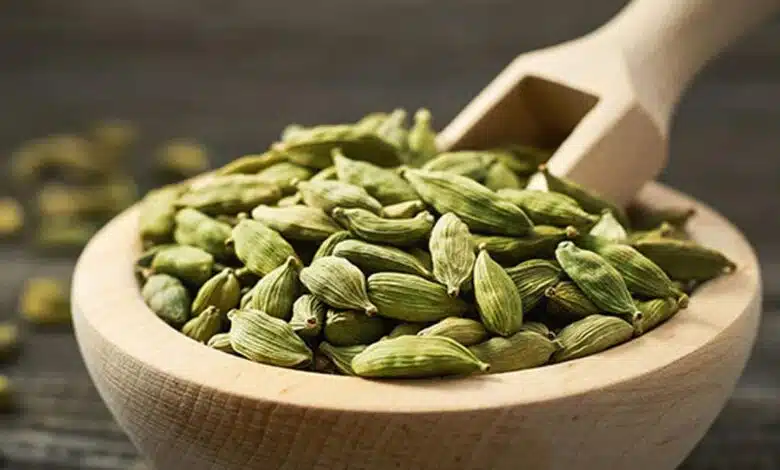 You can get these health benefits by chewing 2 Cardamom a day, know the right time of consumption
