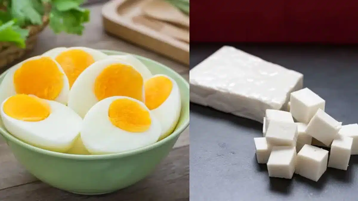 Egg vs Paneer: Which is a healthy protein source for weight loss?