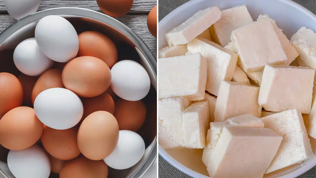 Egg vs Paneer: Which is a healthy protein source for weight loss?