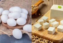 Egg vs Paneer: Which is a healthy protein source for weight loss?