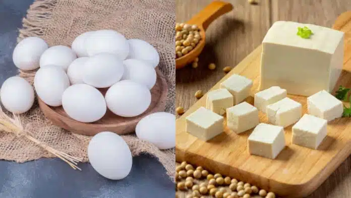 Egg vs Paneer: Which is a healthy protein source for weight loss?