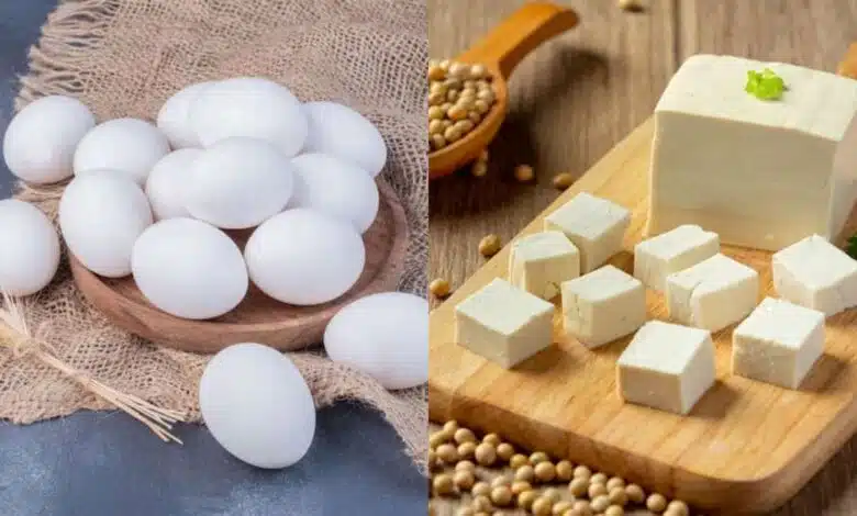 Egg vs Paneer: Which is a healthy protein source for weight loss?