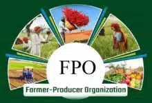 FPC: A step towards self-reliant farmers