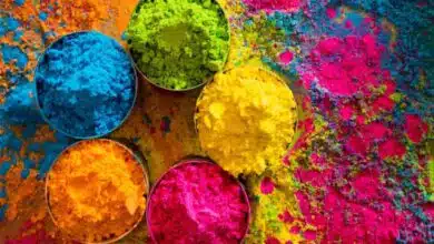Holi 2025: Discover the ancient origins of the colorful festival and the first celebration of Holi