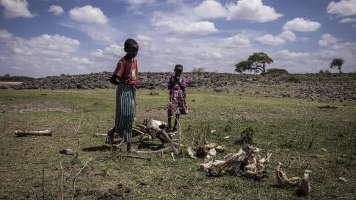Imports from rich countries cause loss of biodiversity