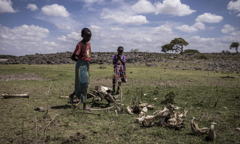Imports from rich countries cause loss of biodiversity