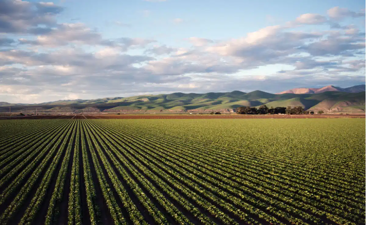 Imports from rich countries cause loss of biodiversity