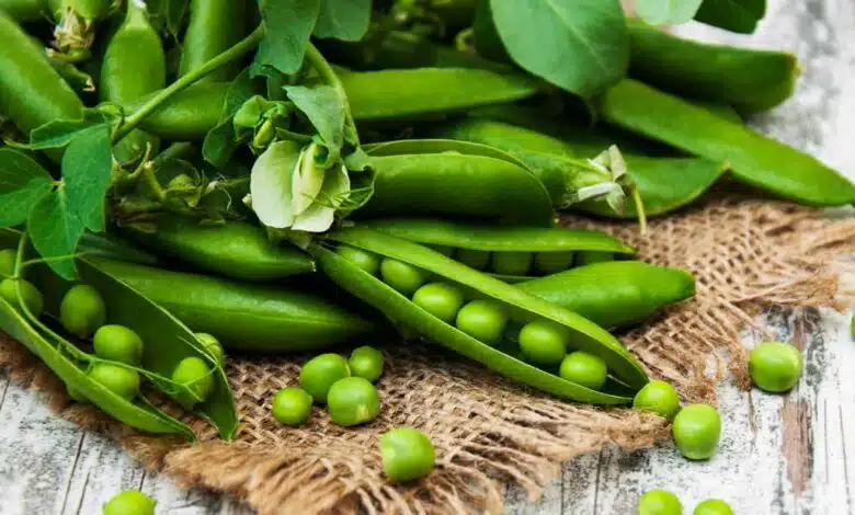 Know the right way to store peas to keep them fresh for a long time