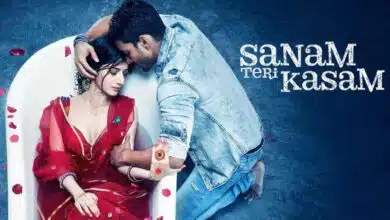 Sanam Teri Kasam created history, earned crores!