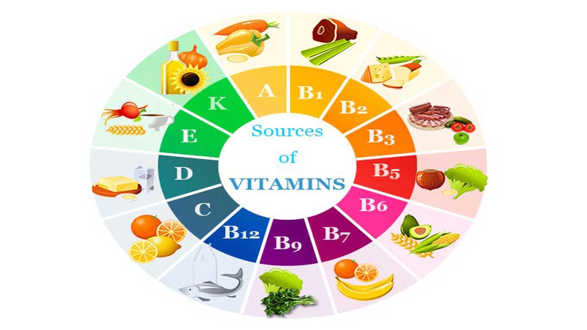 Complete Information About Vitamins: Types, Sources, and Benefits