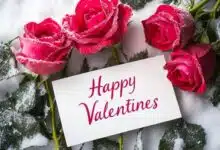 Valentine's Day 2025: Wishes, messages and status to share with your beloved