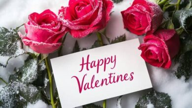 Valentine's Day 2025: Wishes, messages and status to share with your beloved