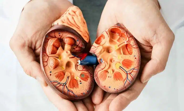 5 home remedies to reduce Kidney Stone pain
