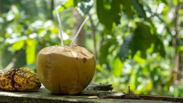 7 amazing benefits of Coconut water in summer