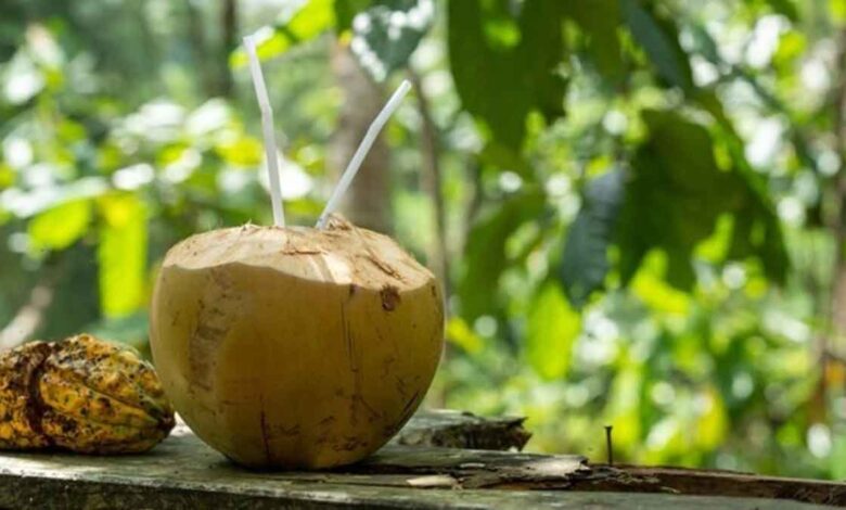 7 amazing benefits of Coconut water in summer