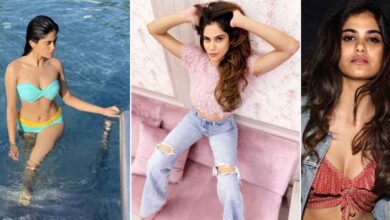 Aaditi Pohankar Net Worth: Aashram 3’s Pammi Owns Crores!
