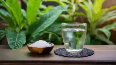 Alum and lukewarm water: Effect on health!