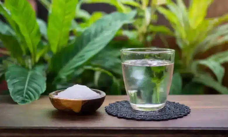 Alum and lukewarm water: Effect on health!
