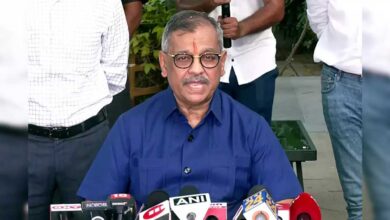 BJP leader said Nagpur violence is shameful
