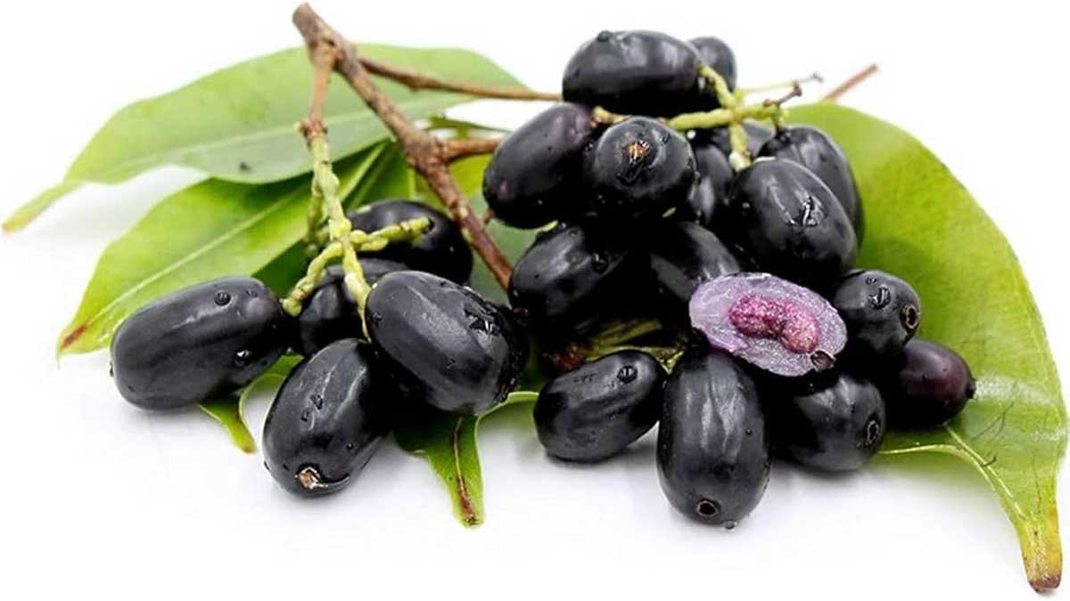 Benefits of Eating Black Plum (Jamun)