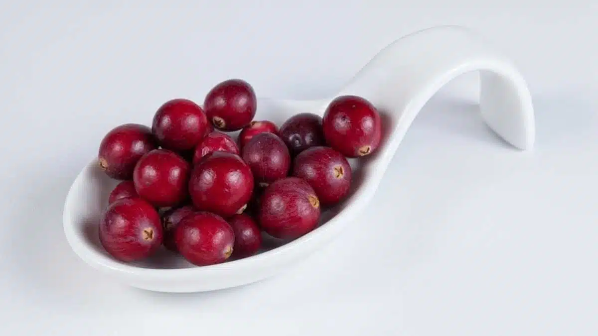 Potential Side Effects of Cranberry Consumption