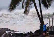 Cyclone Alfred hits eastern Australia; Schools closed, transport stopped in Queensland