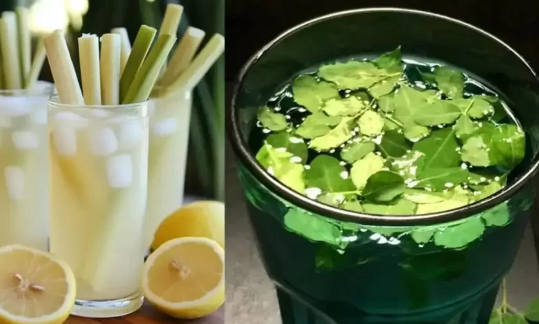 Drumstick Water vs Lemongrass Water Which is More Beneficial