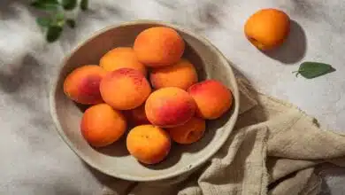 Health Benefits and Effects of Eating Apricot