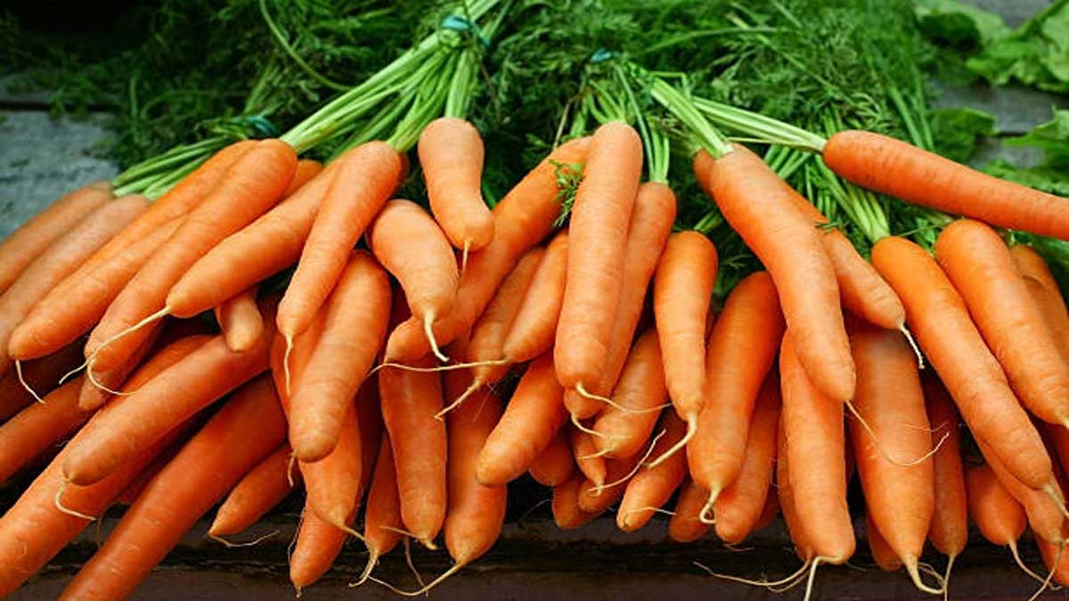 Benefits and Side Effects of Eating Carrots