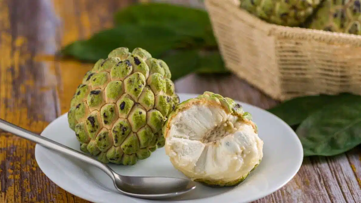 Health Benefits and Effects of Eating Custard Apple