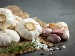 Health Benefits and Side Effects of Eating Garlic