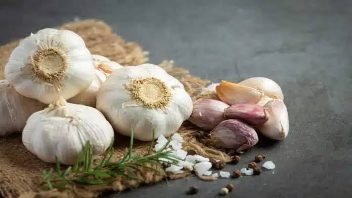 Health Benefits and Side Effects of Eating Garlic