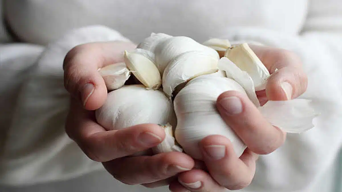 Health Benefits and Side Effects of Eating Garlic