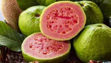 Amazing Health Benefits of Eating Guava