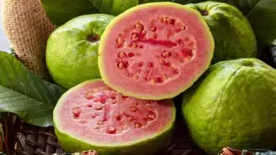 Amazing Health Benefits of Eating Guava
