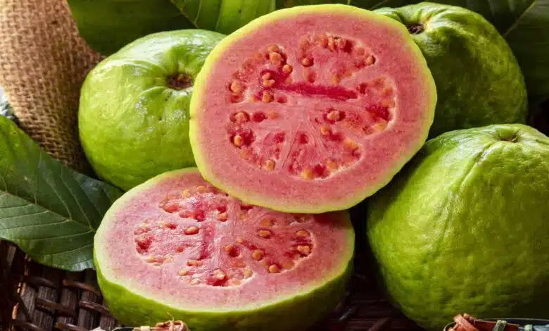 Amazing Health Benefits of Eating Guava