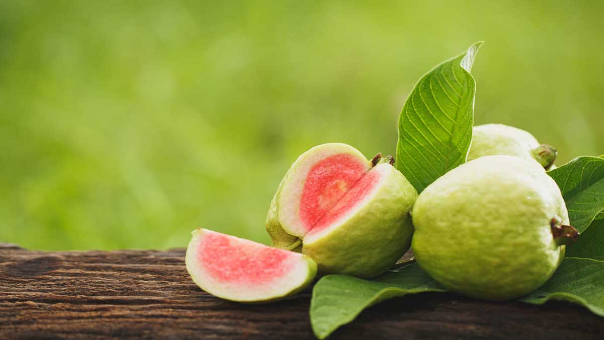 Amazing Health Benefits of Eating Guava