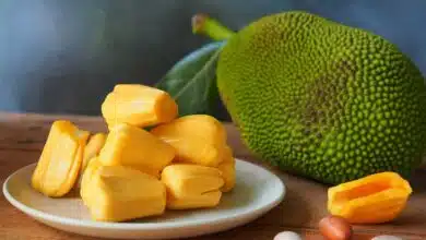 Health Benefits and Effects of Eating Jackfruit