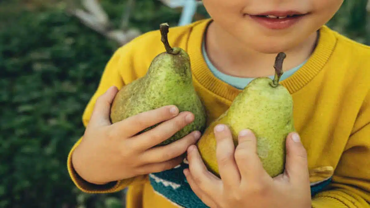 Benefits and Health Effects of Eating Pears