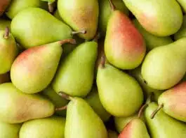 Benefits and Health Effects of Eating Pears