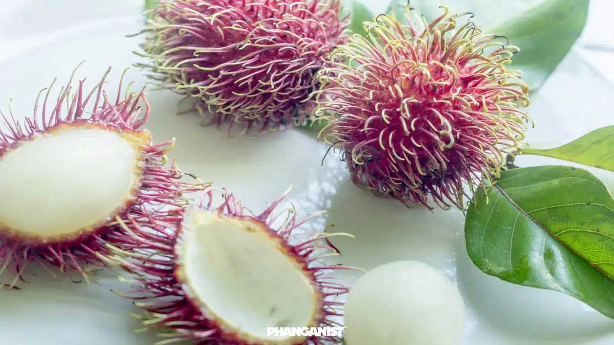 Benefits and Health Effects of Eating Rambutan