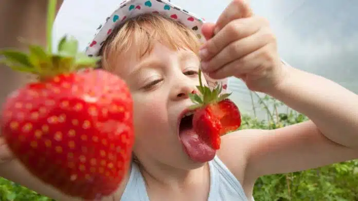 Health Benefits of Eating Strawberries