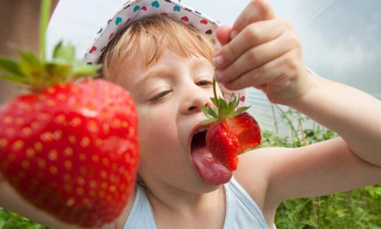 Health Benefits of Eating Strawberries
