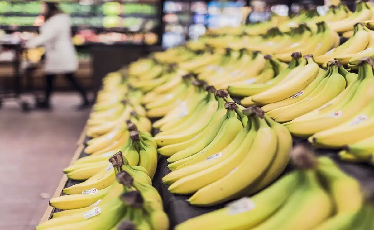 How Bananas Were Improved by Gene-Editing