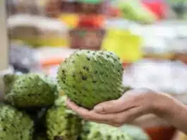 Health Benefits and Effects of Eating Guanabana (Soursop)
