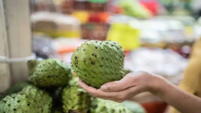 Health Benefits and Effects of Eating Guanabana (Soursop)